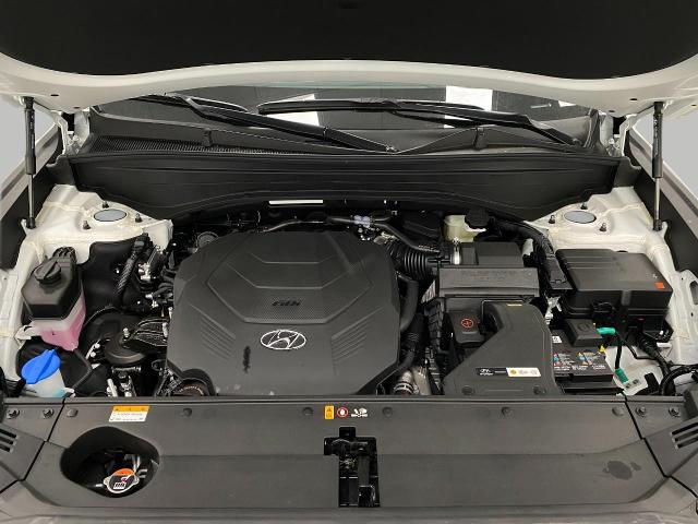 2025 Hyundai PALISADE Vehicle Photo in Appleton, WI 54913