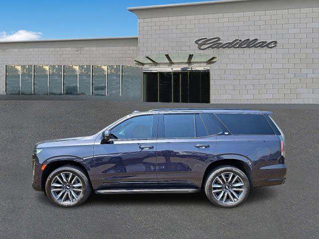 2022 Cadillac Escalade Vehicle Photo in TREVOSE, PA 19053-4984