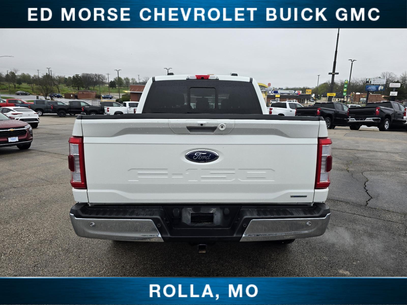 2022 Ford F-150 Vehicle Photo in Rolla, MO 65401