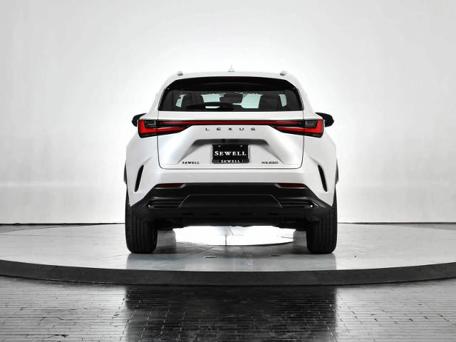 2024 Lexus NX 250 Vehicle Photo in DALLAS, TX 75235