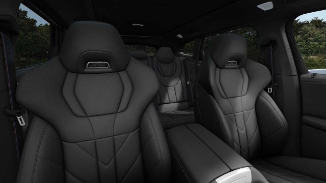 2025 BMW XM Vehicle Photo in GRAPEVINE, TX 76051