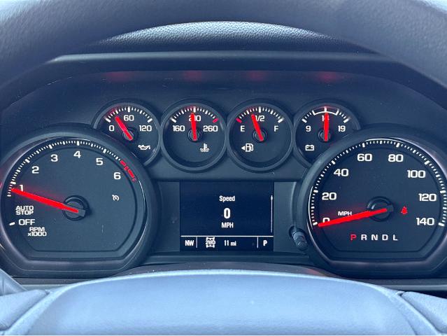 2025 Chevrolet Silverado 1500 Vehicle Photo in BEAUFORT, SC 29906-4218