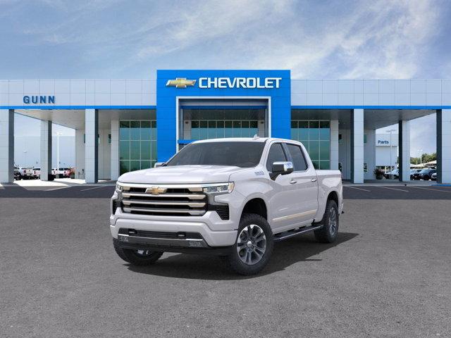 2025 Chevrolet Silverado 1500 Vehicle Photo in SELMA, TX 78154-1460