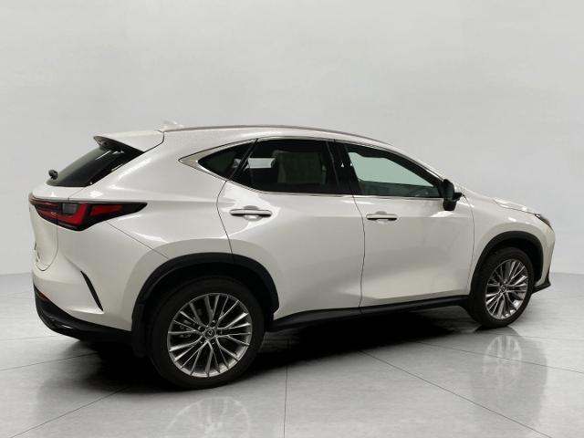 2024 Lexus NX 350 Vehicle Photo in Appleton, WI 54913