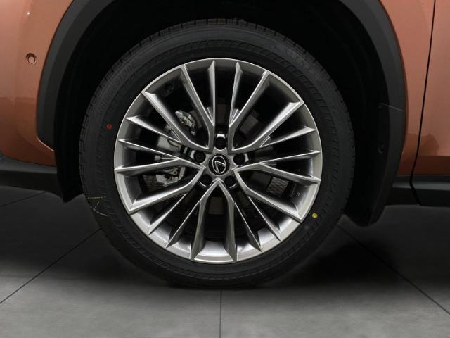 2025 Lexus NX 350 Vehicle Photo in Appleton, WI 54913