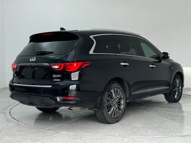 2020 INFINITI QX60 Vehicle Photo in San Antonio, TX 78230