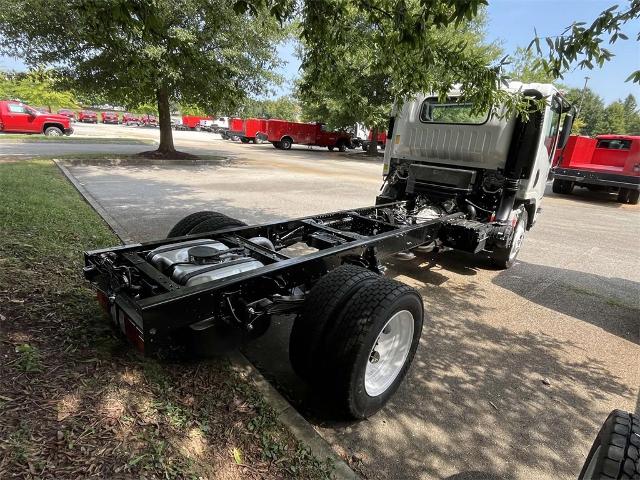 2025 Chevrolet Low Cab Forward 4500 Vehicle Photo in ALCOA, TN 37701-3235