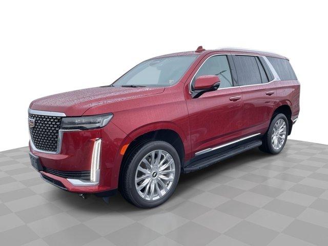 2023 Cadillac Escalade Vehicle Photo in WILLIAMSVILLE, NY 14221-4303