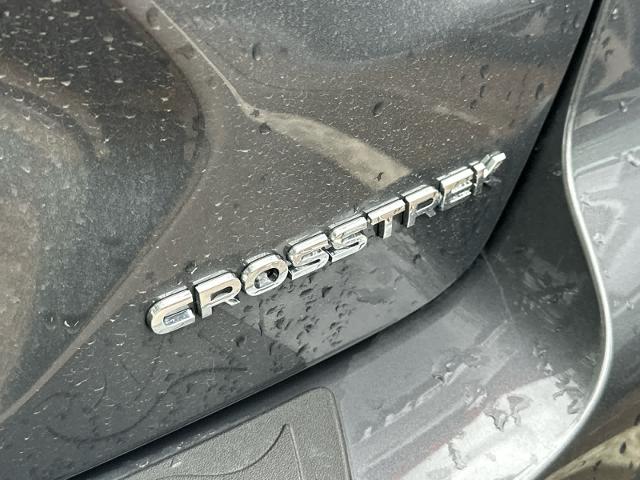 2024 Subaru Crosstrek Vehicle Photo in DALLAS, TX 75209