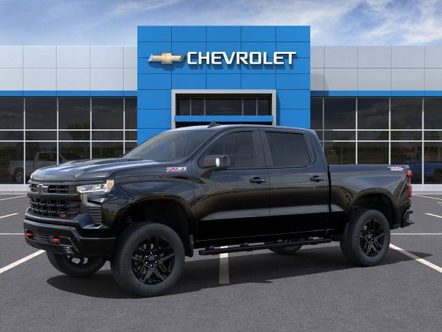 2025 Chevrolet Silverado 1500 Vehicle Photo in PAWLING, NY 12564-3219