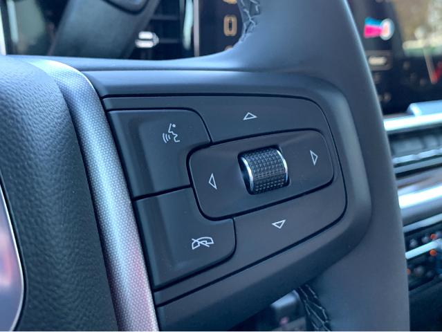 2025 GMC Sierra 1500 Vehicle Photo in BEAUFORT, SC 29906-4218