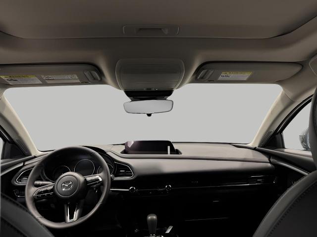 2025 Mazda CX-30 Vehicle Photo in Green Bay, WI 54304
