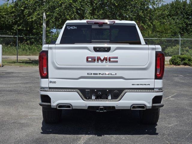 2024 GMC Sierra 1500 Vehicle Photo in Decatur, TX 76234