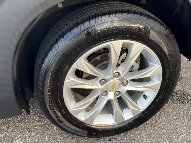 2022 Chevrolet Trailblazer Vehicle Photo in BEAUFORT, SC 29906-4218