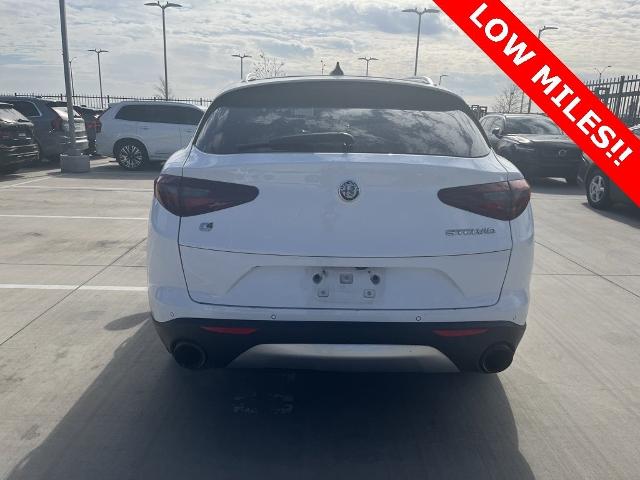 2020 Alfa Romeo Stelvio Vehicle Photo in San Antonio, TX 78230