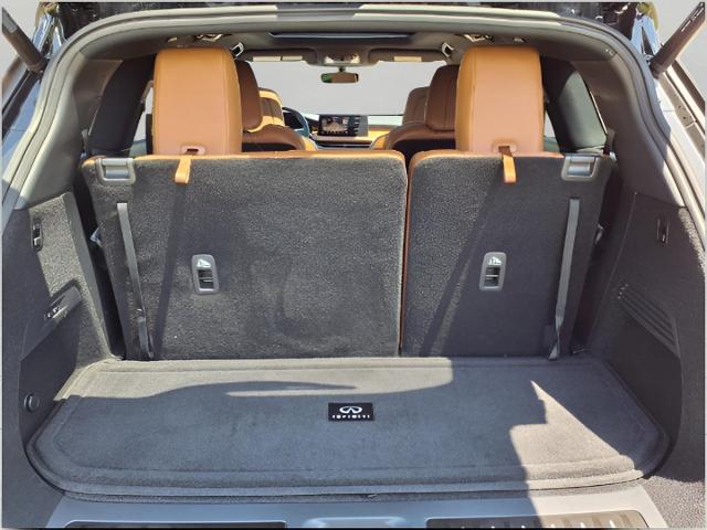 2024 INFINITI QX60 Vehicle Photo in Appleton, WI 54913