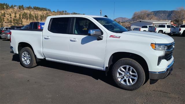 2025 Chevrolet Silverado 1500 Vehicle Photo in FLAGSTAFF, AZ 86001-6214