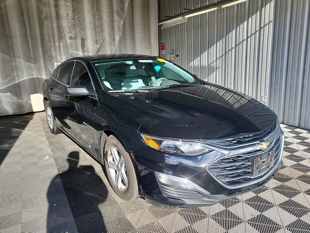 2020 Chevrolet Malibu Vehicle Photo in AKRON, OH 44320-4088