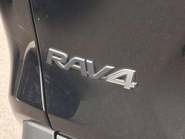 2019 Toyota RAV4 Vehicle Photo in TREVOSE, PA 19053-4984