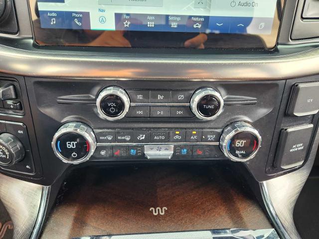2021 Ford F-150 Vehicle Photo in HOUSTON, TX 77079