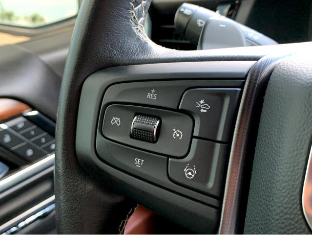 2024 GMC Sierra 1500 Vehicle Photo in BEAUFORT, SC 29906-4218