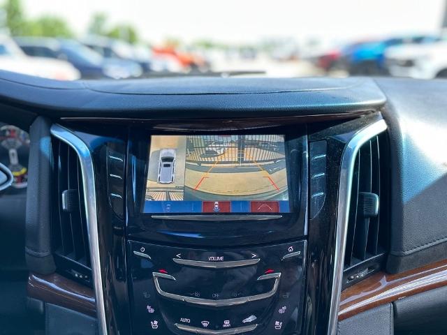 2019 Cadillac Escalade Vehicle Photo in San Antonio, TX 78230