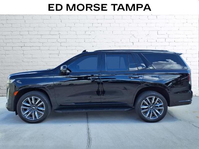 2021 Cadillac Escalade Vehicle Photo in Tampa, FL 33612