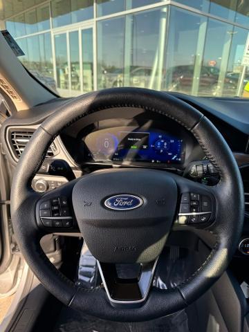 2020 Ford Escape Vehicle Photo in Peoria, IL 61615