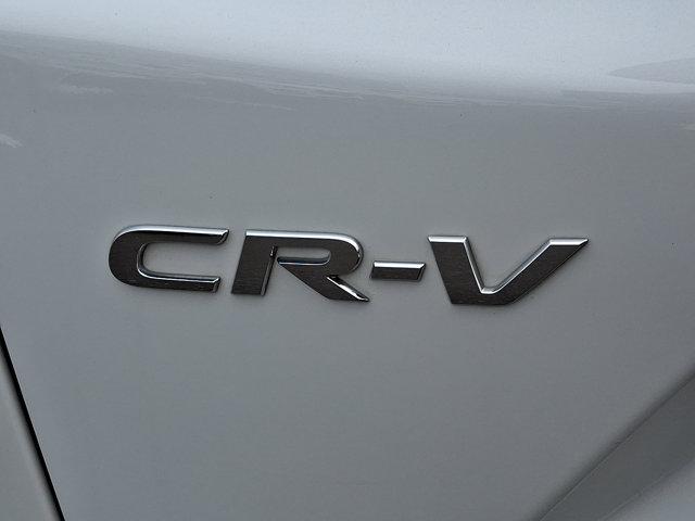 2020 Honda CR-V Vehicle Photo in Philadelphia, PA 19116