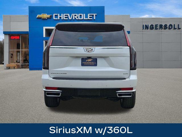 2024 Cadillac Escalade Vehicle Photo in PAWLING, NY 12564-3219