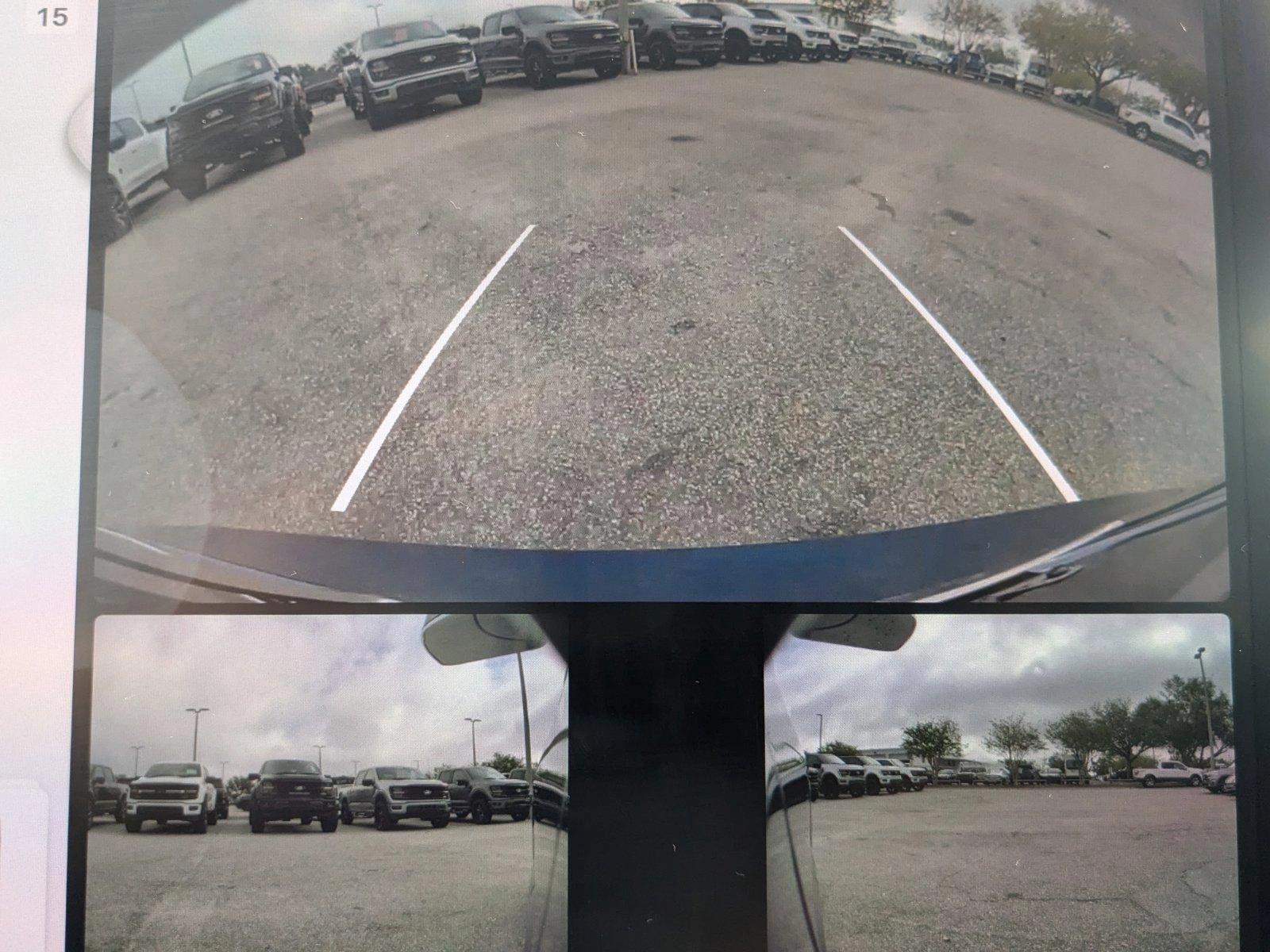 2019 Tesla Model 3 Vehicle Photo in St. Petersburg, FL 33713