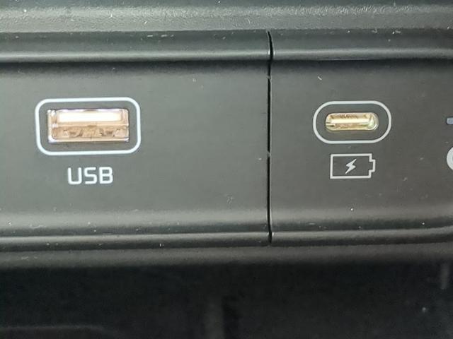 2023 Kia Telluride Vehicle Photo in Brunswick, GA 31525