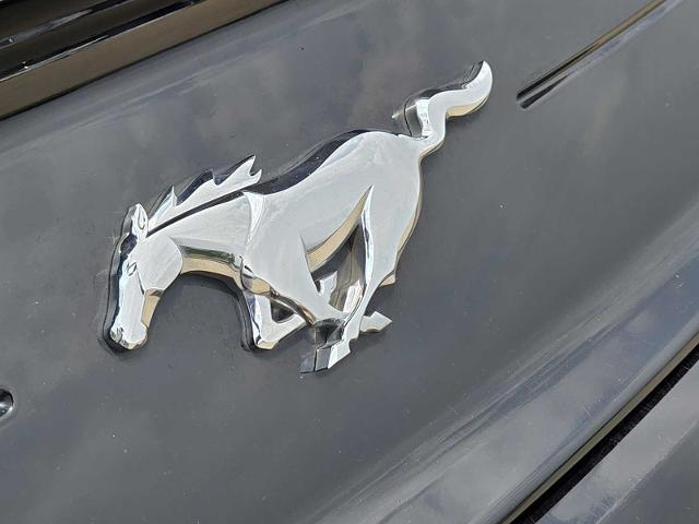 2022 Ford Mustang Vehicle Photo in DENTON, TX 76210-9321