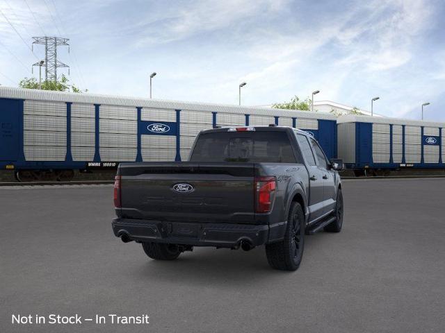 2025 Ford F-150 Vehicle Photo in Weatherford, TX 76087