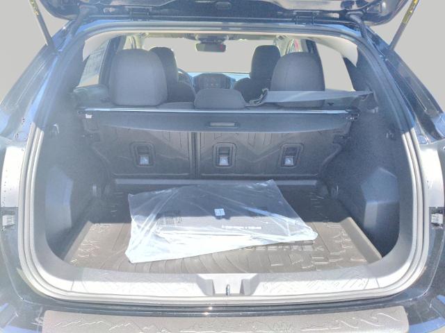 2025 Subaru Crosstrek Vehicle Photo in Green Bay, WI 54304