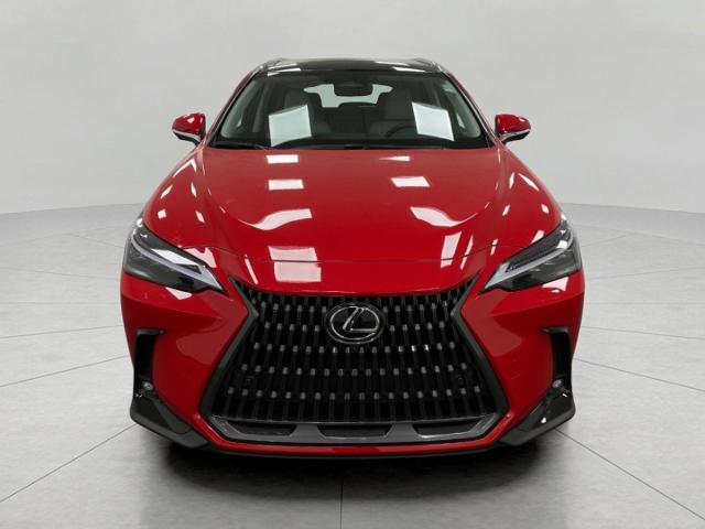 2025 Lexus NX 350h Vehicle Photo in Appleton, WI 54913