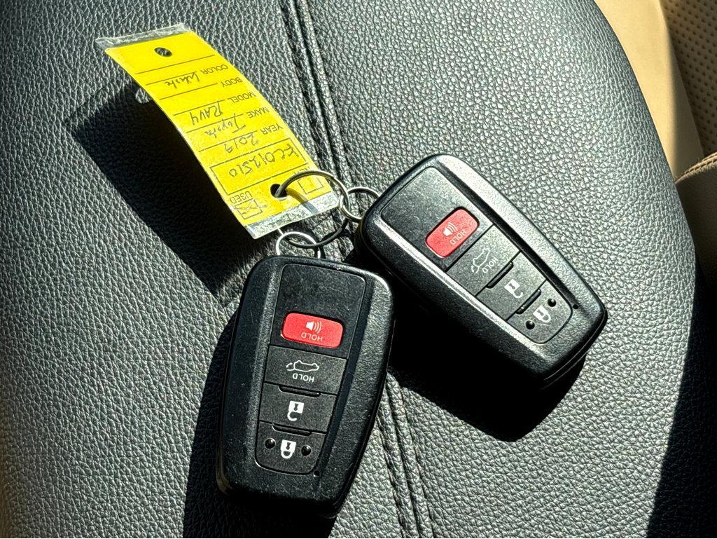 2019 Toyota RAV4 Vehicle Photo in POOLER, GA 31322-3252