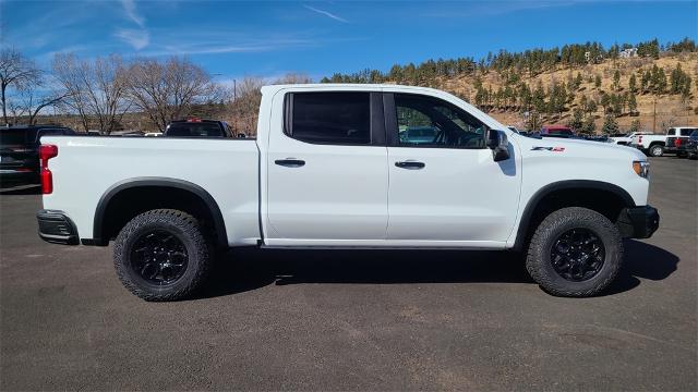 2024 Chevrolet Silverado 1500 Vehicle Photo in FLAGSTAFF, AZ 86001-6214