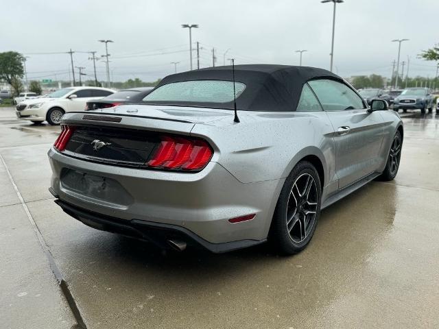 2023 Ford Mustang Vehicle Photo in San Antonio, TX 78230