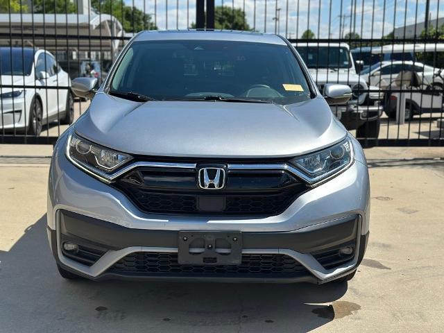 2020 Honda CR-V Vehicle Photo in San Antonio, TX 78230