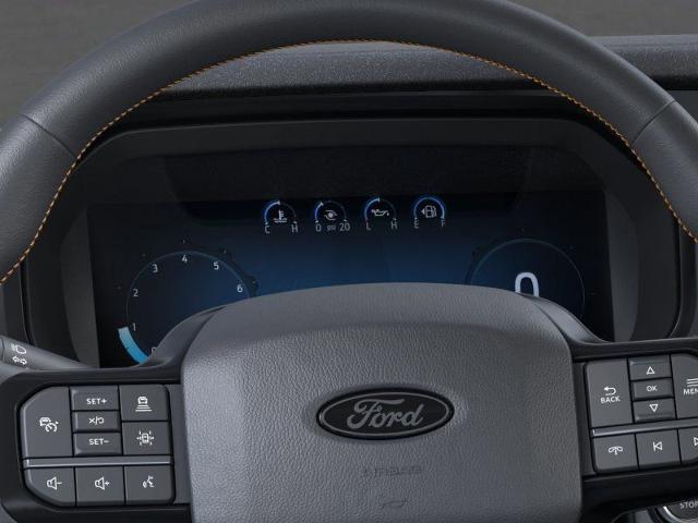 2025 Ford F-150 Vehicle Photo in Weatherford, TX 76087