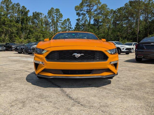 2019 Ford Mustang Vehicle Photo in BEAUFORT, SC 29906-4218