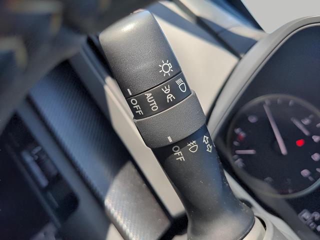 2025 Subaru Crosstrek Vehicle Photo in Green Bay, WI 54304