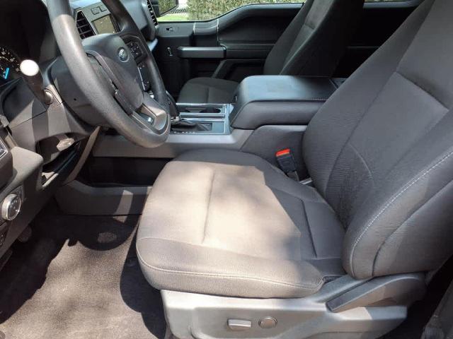 2020 Ford F-150 Vehicle Photo in San Antonio, TX 78230-1001