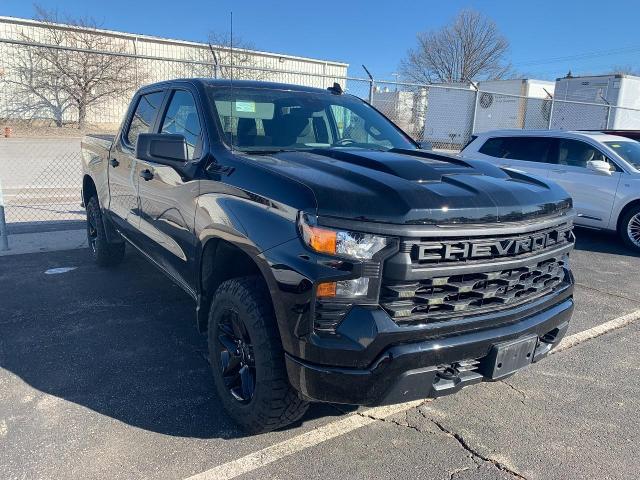 2022 Chevrolet Silverado 1500 Vehicle Photo in APPLETON, WI 54914-4656