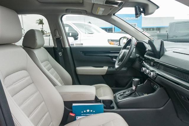 2023 Honda CR-V Vehicle Photo in VENTURA, CA 93003-8585