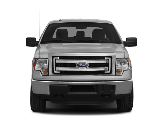 2014 Ford F-150 Vehicle Photo in San Antonio, TX 78230