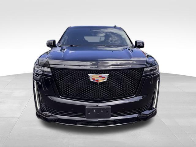 2024 Cadillac Escalade Vehicle Photo in DELRAY BEACH, FL 33483-3294