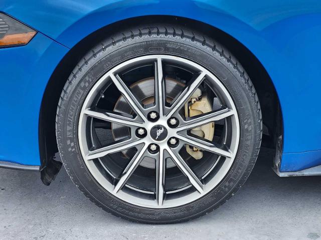 2019 Ford Mustang Vehicle Photo in DALLAS, TX 75209
