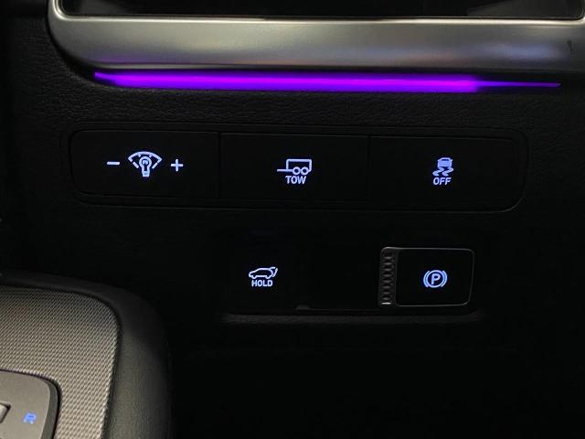 2023 Hyundai PALISADE Vehicle Photo in Appleton, WI 54913
